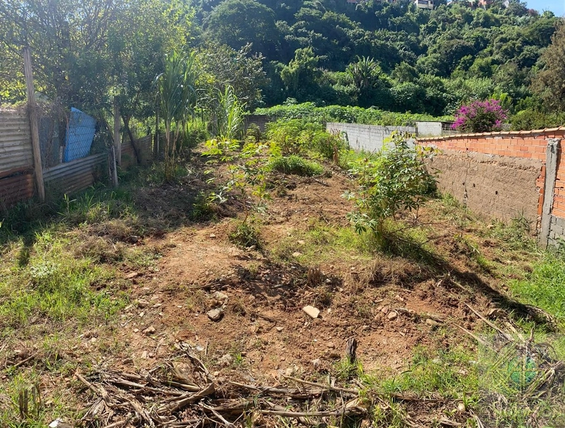 Terreno à Venda – Vila Bazu, Franco da Rocha/SP: 7ª foto da galeria de imagens do imóvel