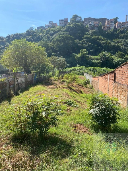 Terreno à Venda – Vila Bazu, Franco da Rocha/SP: 8ª foto da galeria de imagens do imóvel