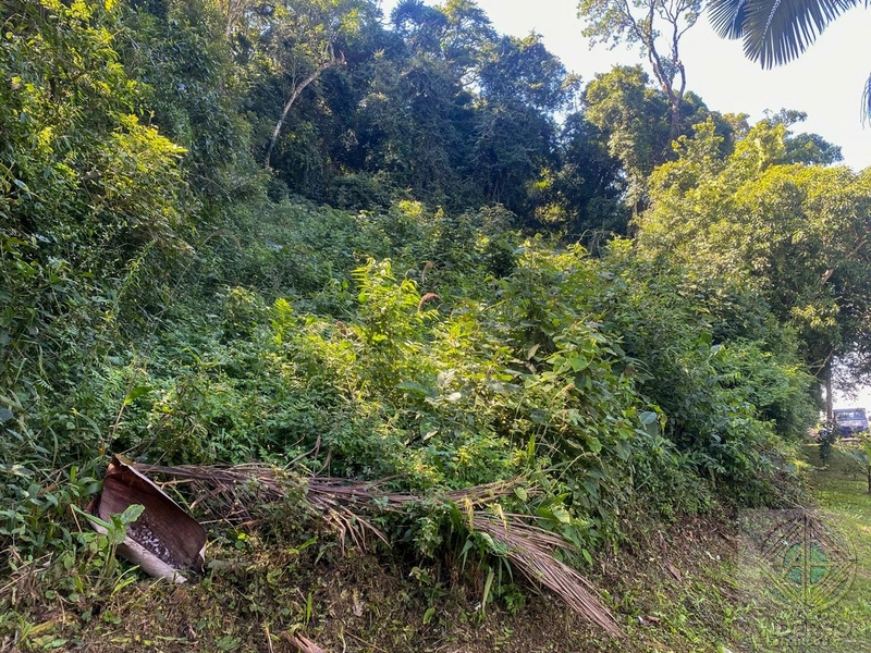 TERRENO À VENDA – PARQUE SUÍÇA – CAIEIRAS/SP: 3ª foto da galeria de imagens do imóvel