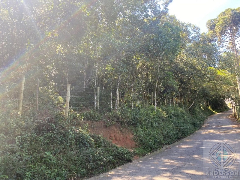 Oportunidade Única em Caieiras/SP – 3 Lotes Incríveis na Estrada do Aj