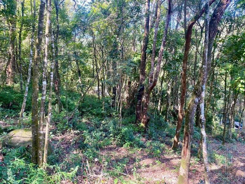 Oportunidade Única em Caieiras/SP – 3 Lotes Incríveis na Estrada do Aj: 7ª foto da galeria de imagens do imóvel