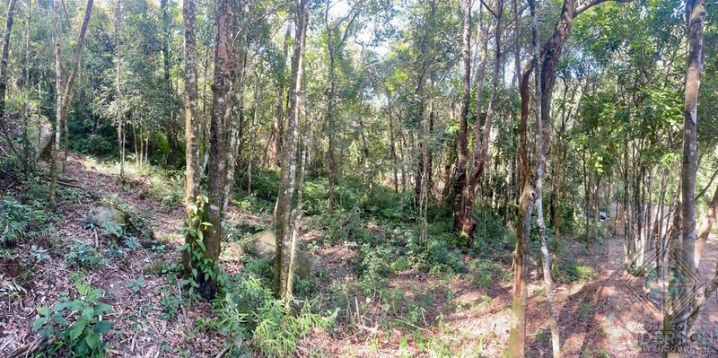 Oportunidade Única em Caieiras/SP – 3 Lotes Incríveis na Estrada do Aj: 6ª foto da galeria de imagens do imóvel