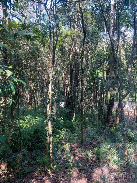 Oportunidade Única em Caieiras/SP – 3 Lotes Incríveis na Estrada do Aj: 9ª foto da galeria de imagens do imóvel