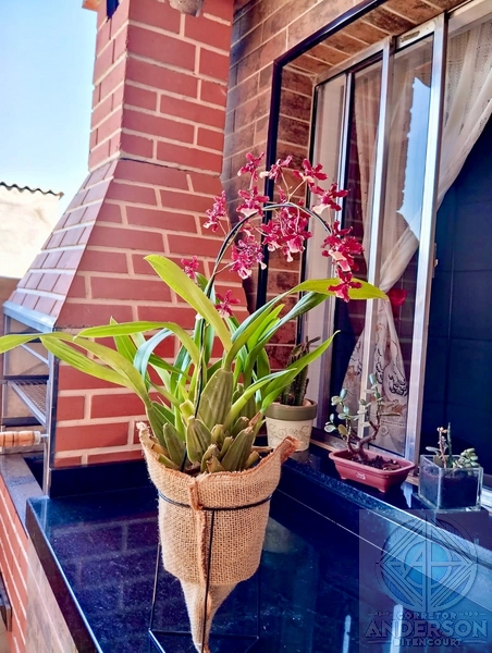 DUAS CASAS NO MESMO TERRENO | Perus (Vila Inácio) – R$ 800 MIL: 26ª foto da galeria de imagens do imóvel