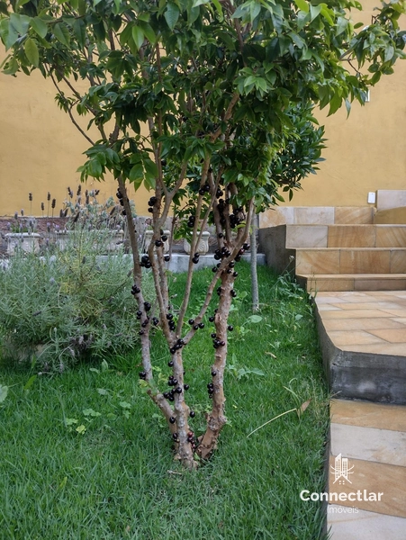 CASA AMPLA EM DOIS TERRENOS NO BAIRRO AGRONOMIA: 26ª foto da galeria de imagens do imóvel