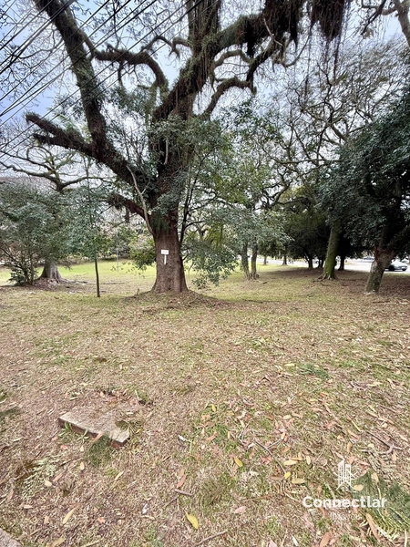 APARTAMENTO NA BENNO MENTZ PRÓXIMO AO IGUATEMI: 22ª foto da galeria de imagens do imóvel