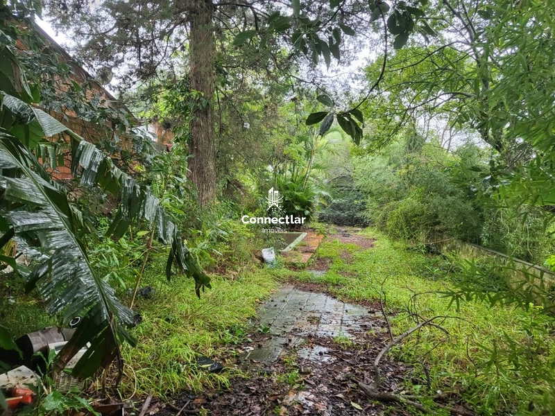 TERRENO AMPLO NO BAIRRO AGRONOMIA: 2ª foto da galeria de imagens do imóvel