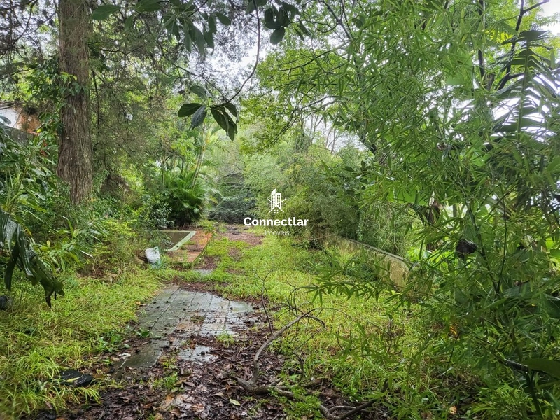TERRENO AMPLO NO BAIRRO AGRONOMIA: 1ª foto da galeria de imagens do imóvel