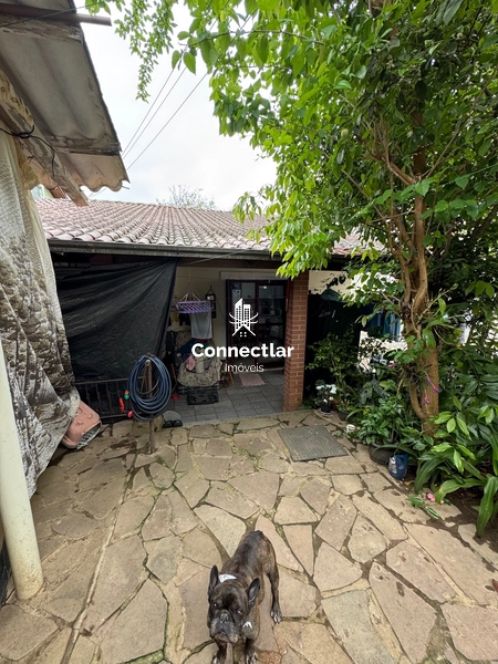 Casas à venda em Porto Alegre, São Sebastião: 30ª foto da galeria de imagens do imóvel