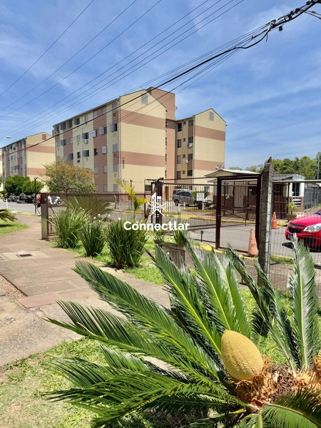 LINDO APARTAMENTO DE 2 DORMITÓRIOS: 13ª foto da galeria de imagens do imóvel