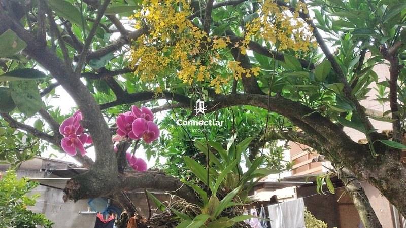 Casas à venda em Cachoeirinha, Vila Silveira Martins: 2ª foto da galeria de imagens do imóvel