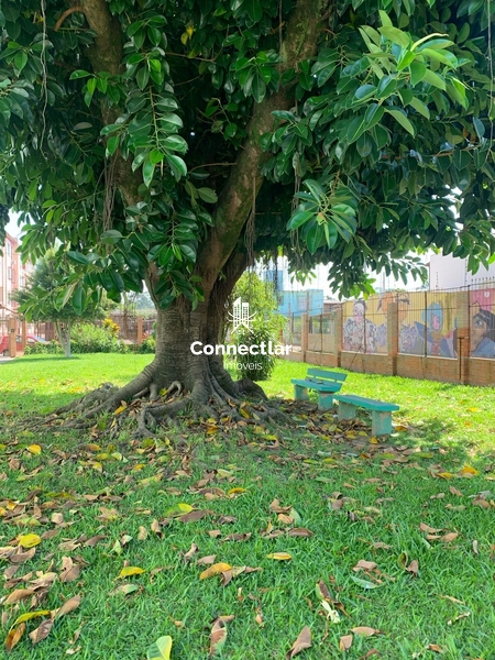 APARTAMENTIO NO BAIRRO PARQUE DOS MAYAS: 15ª foto da galeria de imagens do imóvel