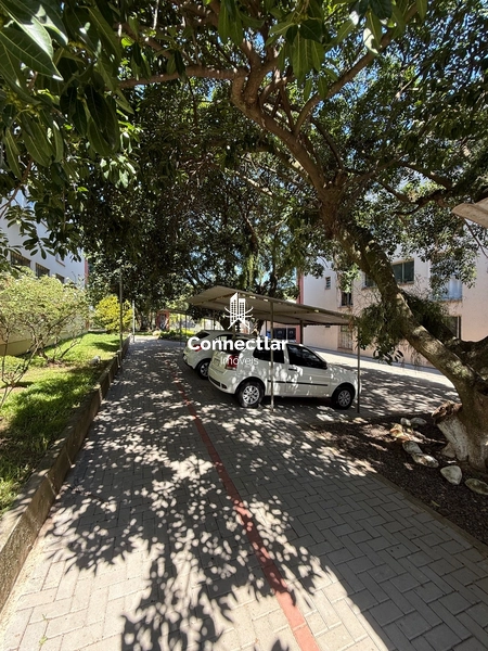 Apartamento 2 dormitórios com vaga em frente à UniRitter: 4ª foto da galeria de imagens do imóvel