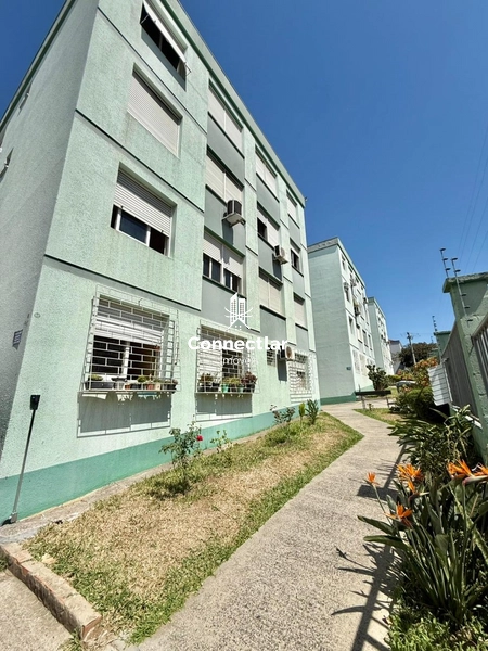 APARTAMENTO NO JARDIM LEOPOLDINA: 1ª foto da galeria de imagens do imóvel