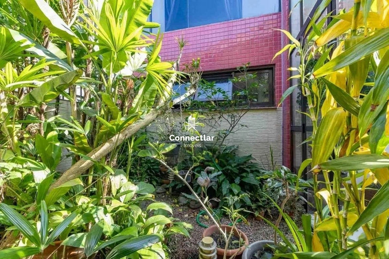 Casa com piscina e 4 dormitórios no Jardim Planalto: 12ª foto da galeria de imagens do imóvel
