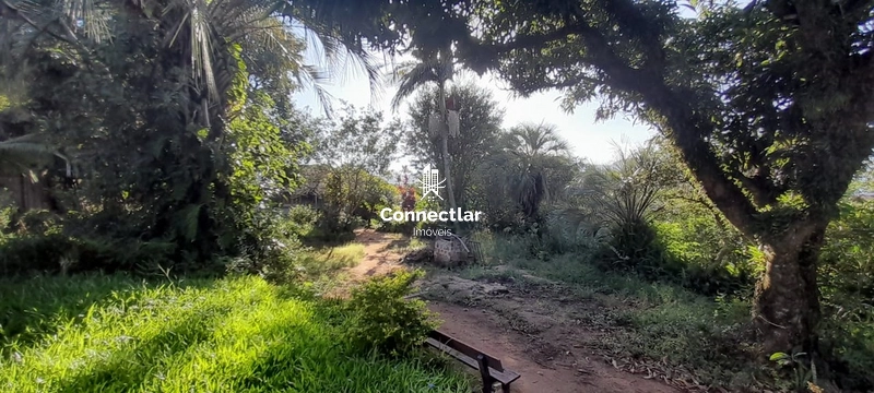 Terrenos à venda em Porto Alegre, Teresópolis.: 3ª foto da galeria de imagens do imóvel