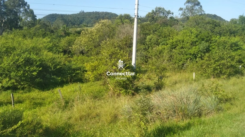 TERRENO EM MONTENEGRO: 2ª foto da galeria de imagens do imóvel