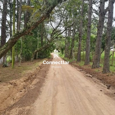 Oportunidade Única! Terreno Espaçoso  na Lomba do Pinheiro!: 1ª foto da galeria de imagens do imóvel
