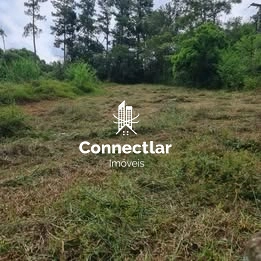 Oportunidade Única! Terreno Espaçoso  na Lomba do Pinheiro!: 3ª foto da galeria de imagens do imóvel