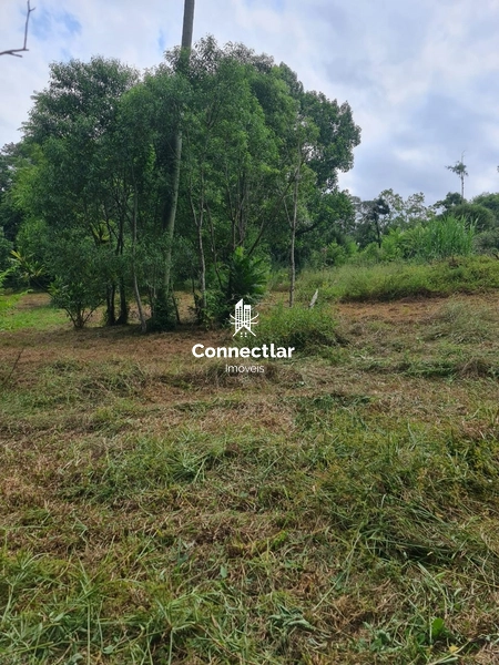 Oportunidade Única! Terreno Espaçoso  na Lomba do Pinheiro!: 10ª foto da galeria de imagens do imóvel