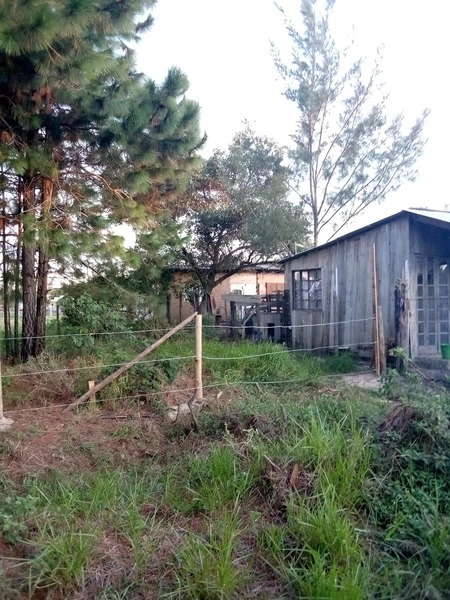 TERRENO BEM LOCALIZADO COM VISTA PARA PARAGUASSU: 3ª foto da galeria de imagens do imóvel