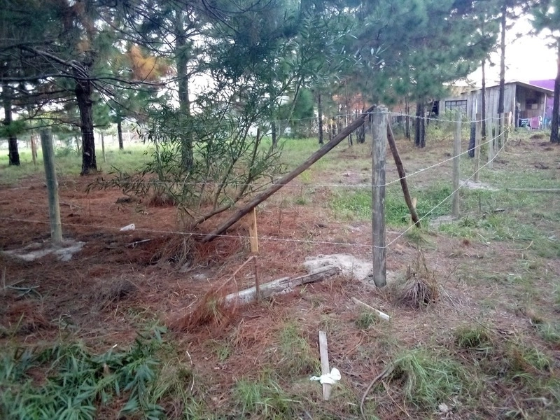 TERRENO BEM LOCALIZADO COM VISTA PARA PARAGUASSU: 1ª foto da galeria de imagens do imóvel