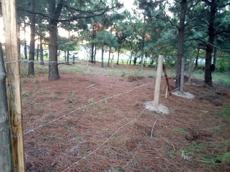 TERRENO BEM LOCALIZADO COM VISTA PARA PARAGUASSU: 4ª foto da galeria de imagens do imóvel