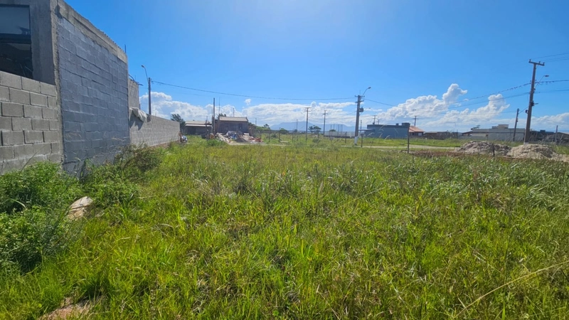 Terreno pronto para investir no bairro Guarani: 4ª foto da galeria de imagens do imóvel