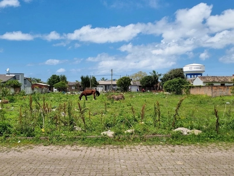 TERRENOS ÓTIMOS PARA INVESTIDORES!: 3ª foto da galeria de imagens do imóvel