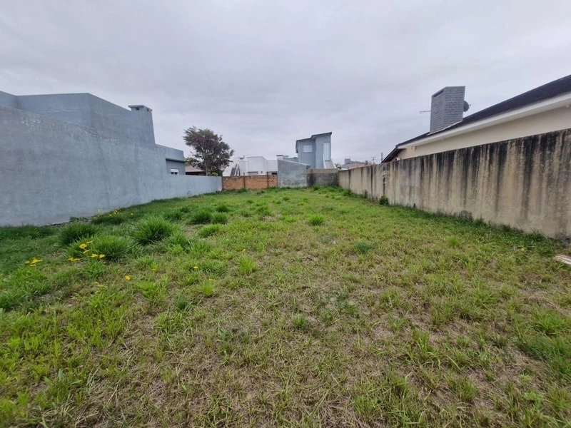 Terreno em ótima localização perfeito para você construir: 3ª foto da galeria de imagens do imóvel