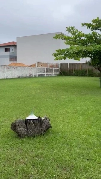 CASA COM 2 TERRENOS MUITO BEM LOCALIZADA NO ARAÇÁ -CAPÃO DA CANOA: 2ª foto da galeria de imagens do imóvel