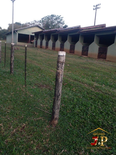 Lindo Haras em Jataizinho - 40.000 m² com Completa Infraestrutura!: 17ª foto da galeria de imagens do imóvel