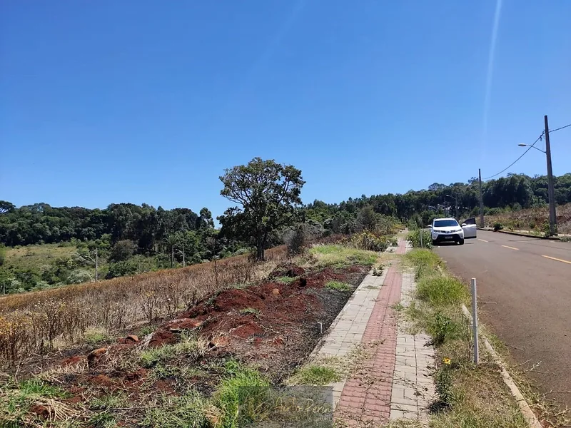 Terreno no Walville: 5ª foto da galeria de imagens do imóvel
