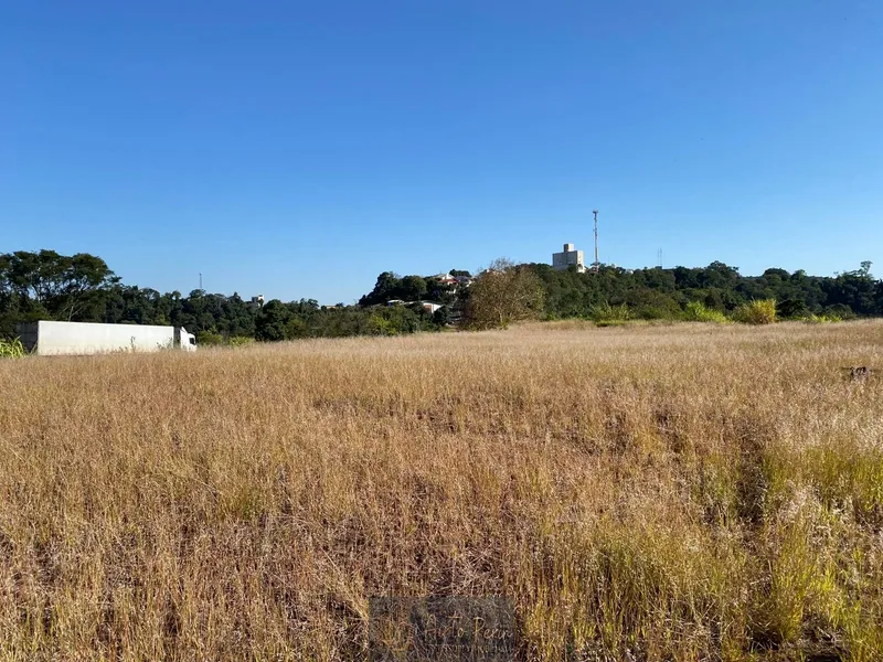 ÁREA PARA EMPRESA BR 282: 5ª foto da galeria de imagens do imóvel