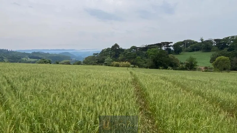 Área para empresa: 2ª foto da galeria de imagens do imóvel