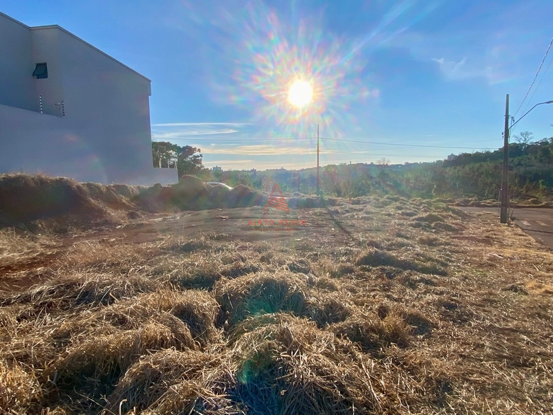 Terreno no Walville: 4ª foto da galeria de imagens do imóvel