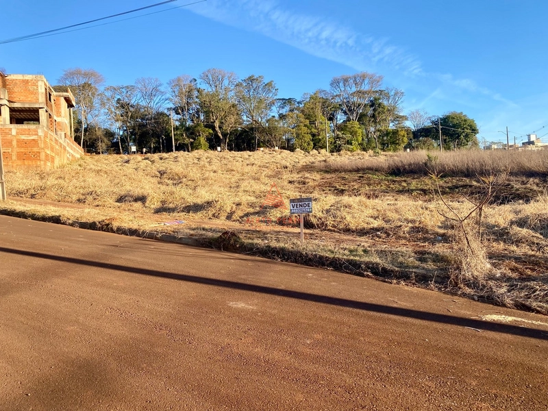 Terreno no Jardim Europa: 1ª foto da galeria de imagens do imóvel