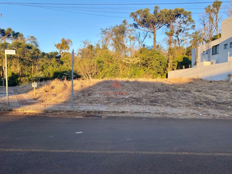 Terreno grande de esquina no Jardim Europa: 2ª foto da galeria de imagens do imóvel