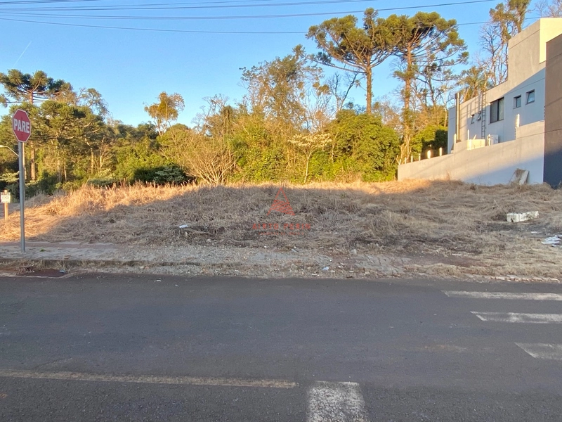 Terreno grande de esquina no Jardim Europa: 1ª foto da galeria de imagens do imóvel
