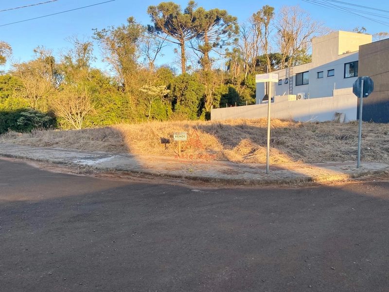 Terreno grande de esquina no Jardim Europa: 3ª foto da galeria de imagens do imóvel