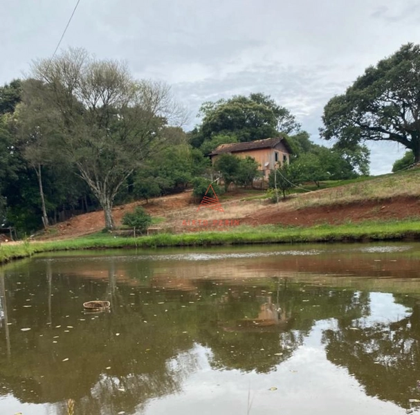 Chácara com açude em Chapecó: 7ª foto da galeria de imagens do imóvel
