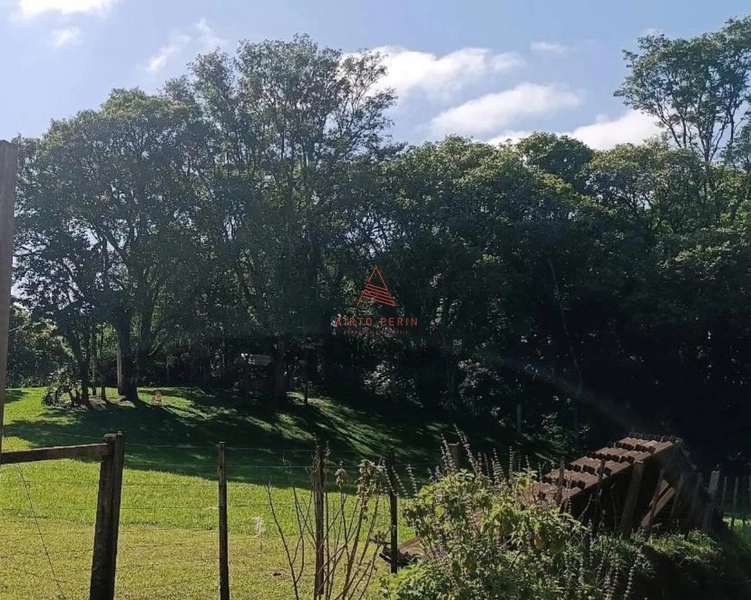 Chácara com açude em Chapecó: 5ª foto da galeria de imagens do imóvel