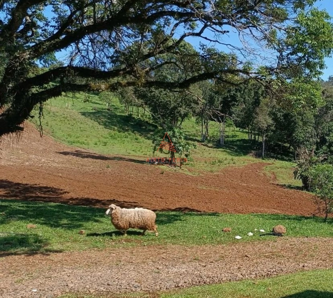Chácara com açude em Chapecó: 9ª foto da galeria de imagens do imóvel