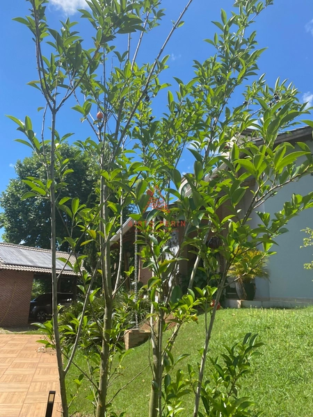 Casa em Condomínio Fechado em Chapecó: 19ª foto da galeria de imagens do imóvel