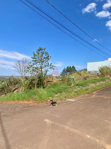Terreno de esquina no Mirante do Trevo: 4ª foto da galeria de imagens do imóvel