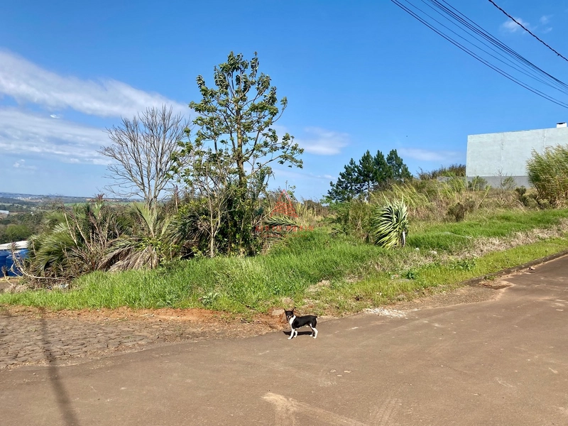 Terreno de esquina no Mirante do Trevo: 2ª foto da galeria de imagens do imóvel