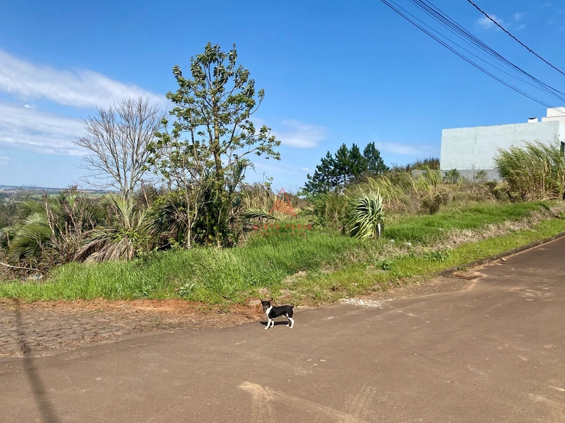 Terreno de esquina no Mirante do Trevo: 1ª foto da galeria de imagens do imóvel