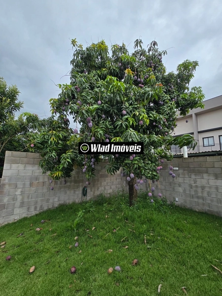 Terreno plano à venda com 261 m² em pleno centro comercial de Vinhedo: 11ª foto da galeria de imagens do imóvel