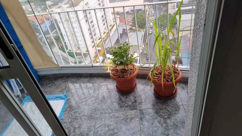 Oportunidade Única na Vila Vermelha!: 1ª foto da galeria de imagens do imóvel