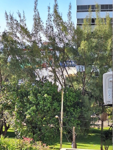 NO CENTRO DE CAPÃO JUNTO A PRAÇA BOIANOVISKI: 10ª foto da galeria de imagens do imóvel